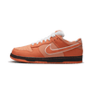 Concepts x Nike SB Dunk Low Orange Lobster - FD8776-800-LUXSUPPLY